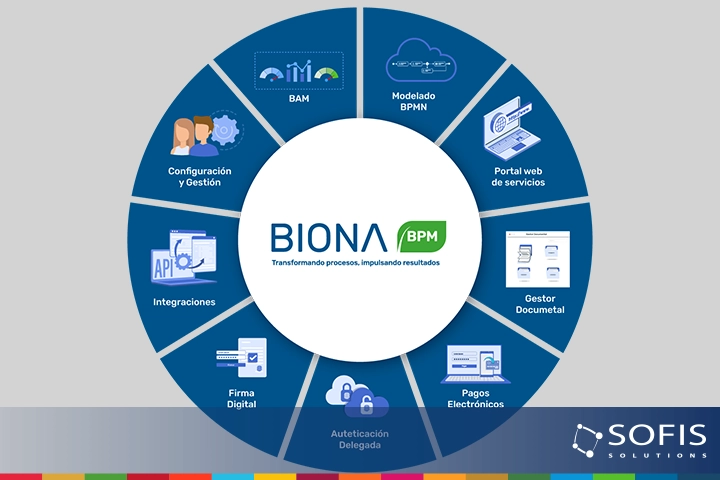 Infografía sobre BIonA
